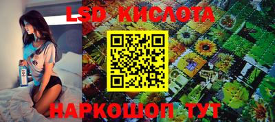 спайс Кунгур