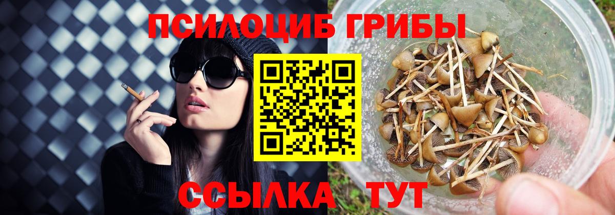Галлюциногенные грибы GOLDEN TEACHER Сургут