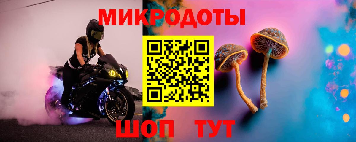 Галлюциногенные грибы Psilocybe  Вход с VPN  Сургут 