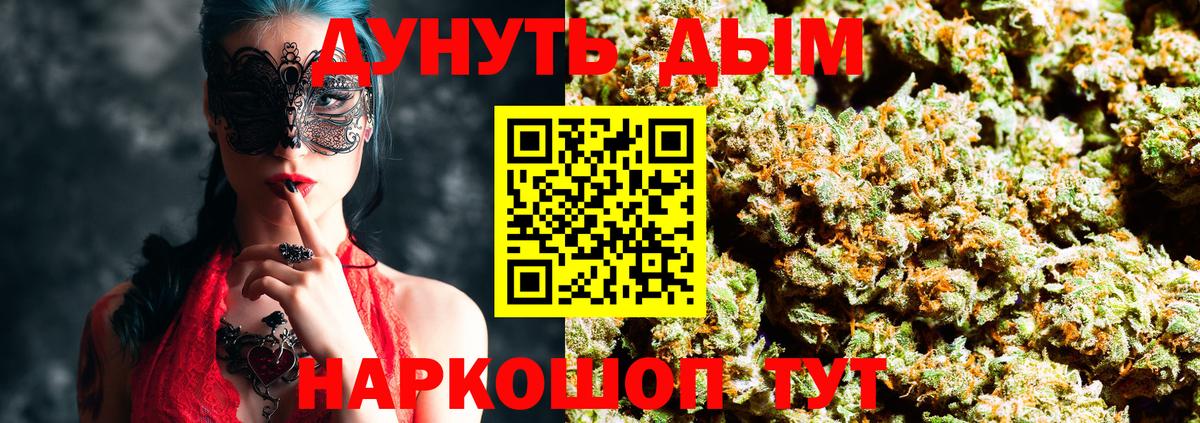 Марихуана сатива  Каннабис планчик  Шишки марихуана семена  Сургут  Вход с VPN 